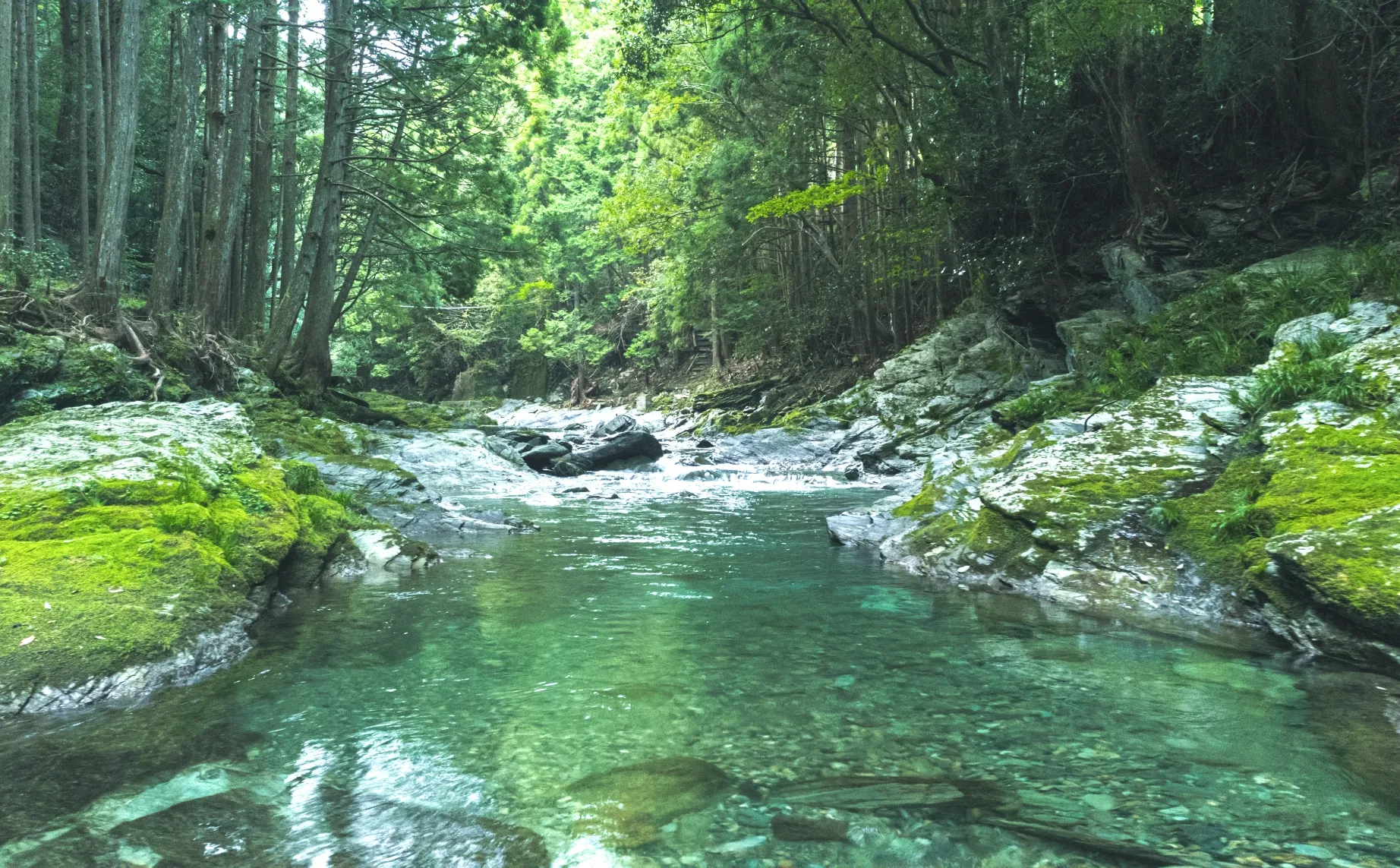 アクティビティ